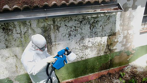 Trusted Mold Testing service in Fife, WA - Cheap Mold Removal